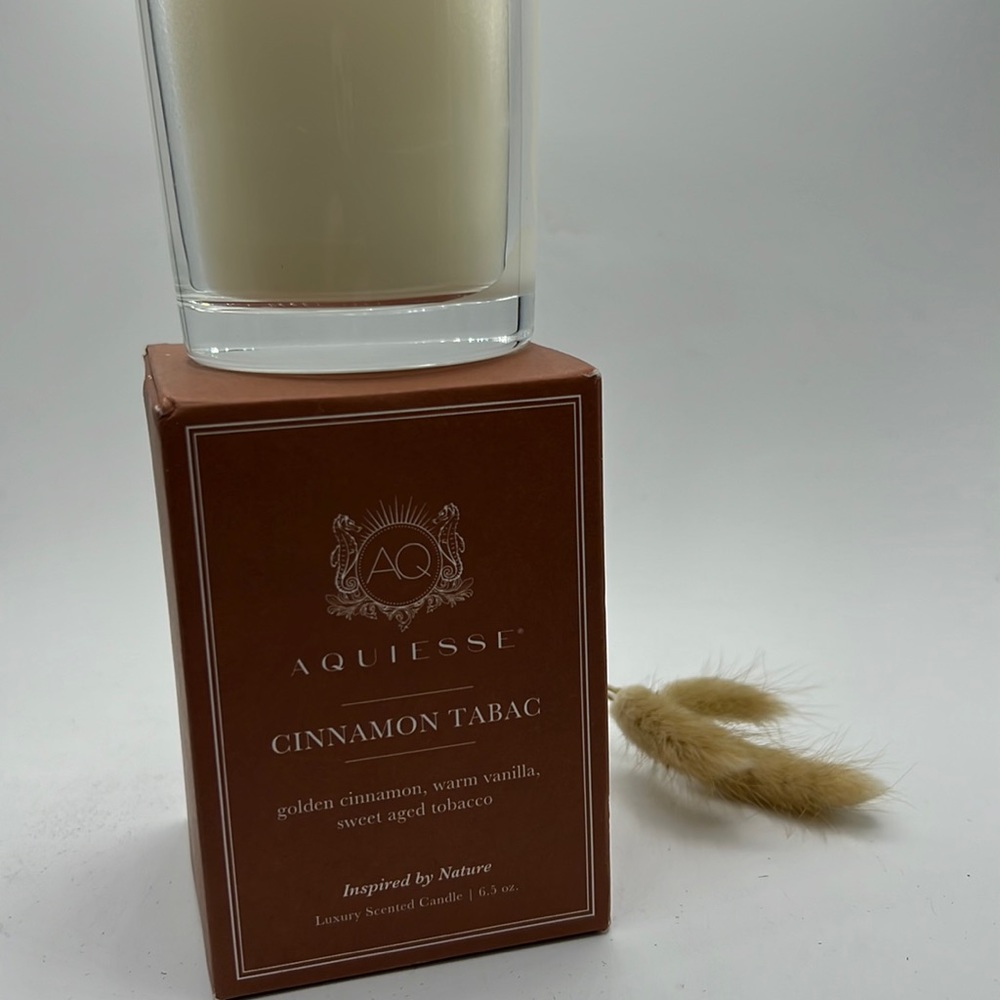 Aquiesse Cinnamon Tabac Candle